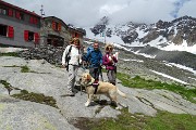 Al Rif. Ponti (2559 m), il rifugio del Disgrazia, dalla Valle di Preda Rossa il 23 giugno 2015 - FOTOGALLERY